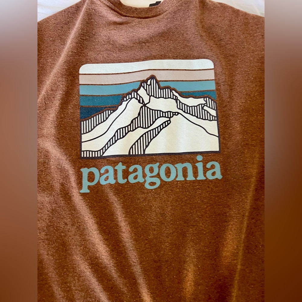 Patagonia long sleeve t-shirt